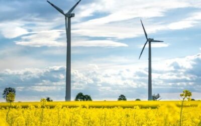 Environment & Climate Resilience